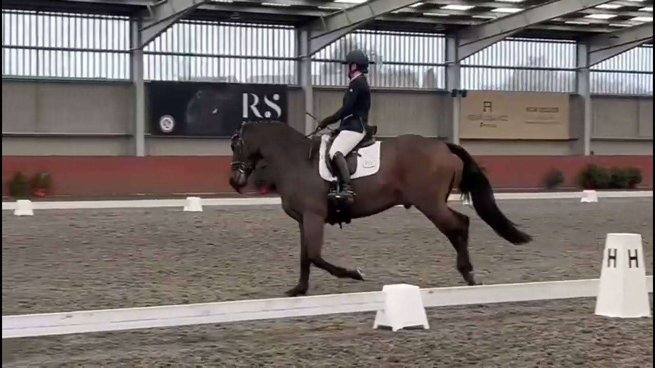 Novice 4 - 67.50% - Newbold Verdon