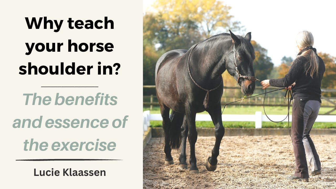 Shoulder in Exercise For Your Horse