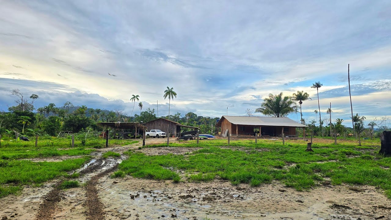 Cheguei na Toca do SAPO, Provavelmente o pior pode acontecer com ela.