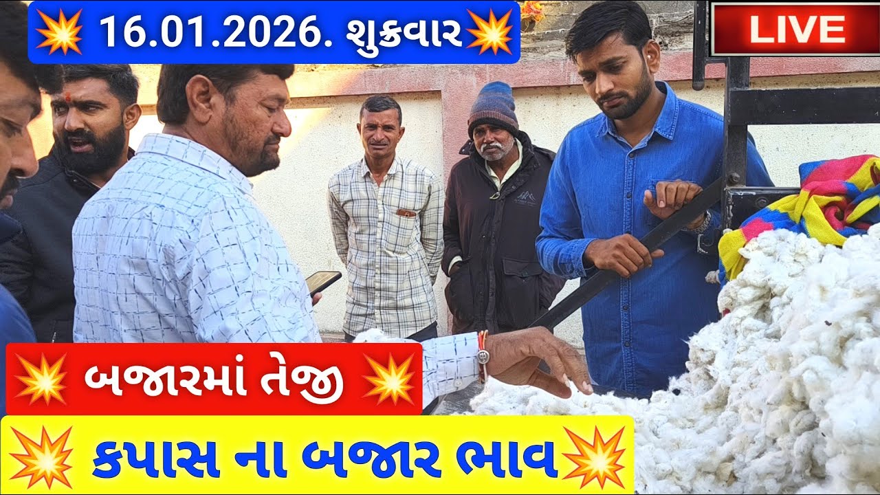 🔴live કપાસ ના બજાર ભાવ આજના જસદણ માર્કેટિંગ યાર્ડ, cotton auction price today,January 16, 2026