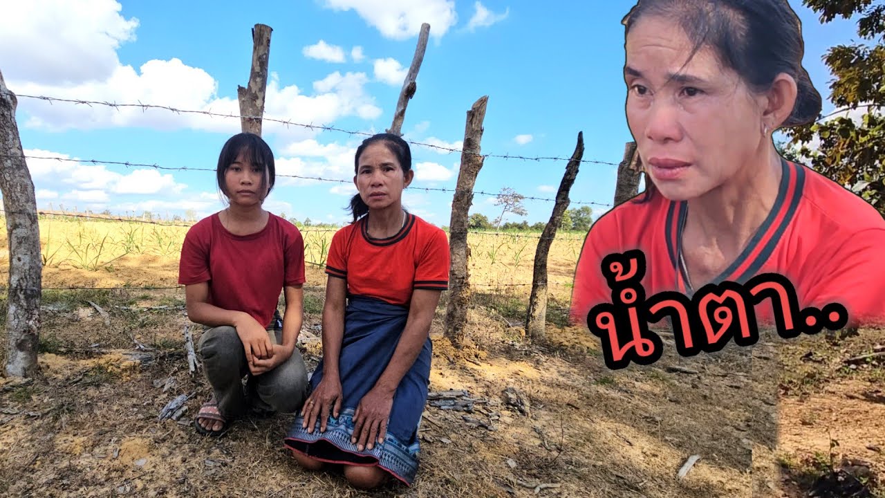 ถูกผัวตีหอบเสื้อผ้ากับลูกสาวหนีมาอยู่ข้างป่าอ้อย 5 มกราคม ค.ศ. 2026