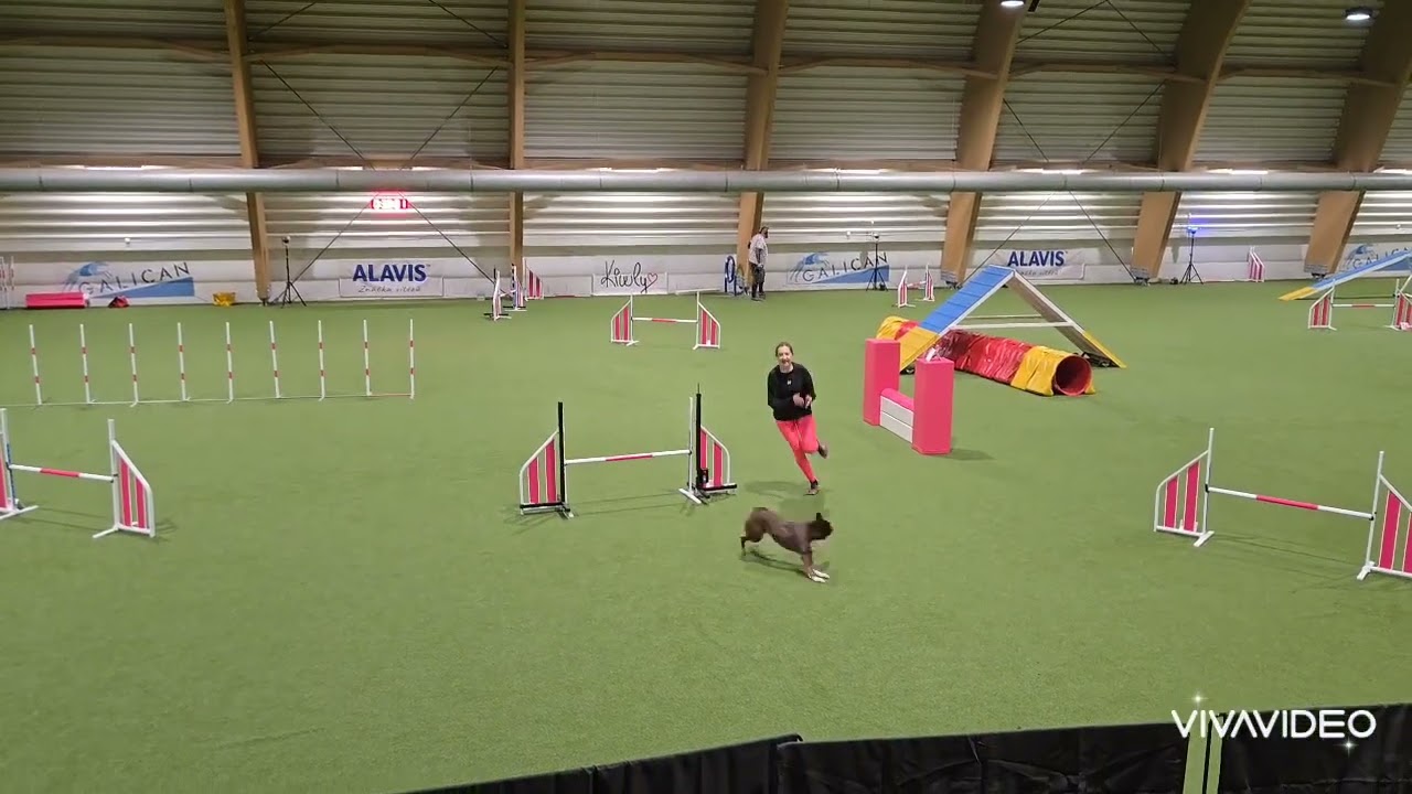 WAO 2026 qualifications