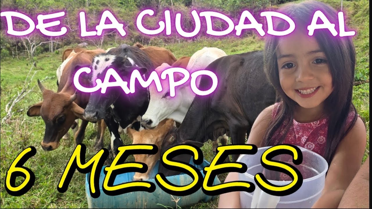 De la CIUDAD al CAMPO 