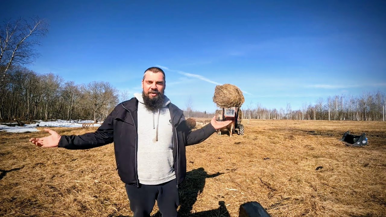 Жизнь на Хуторе. Много новостей. 