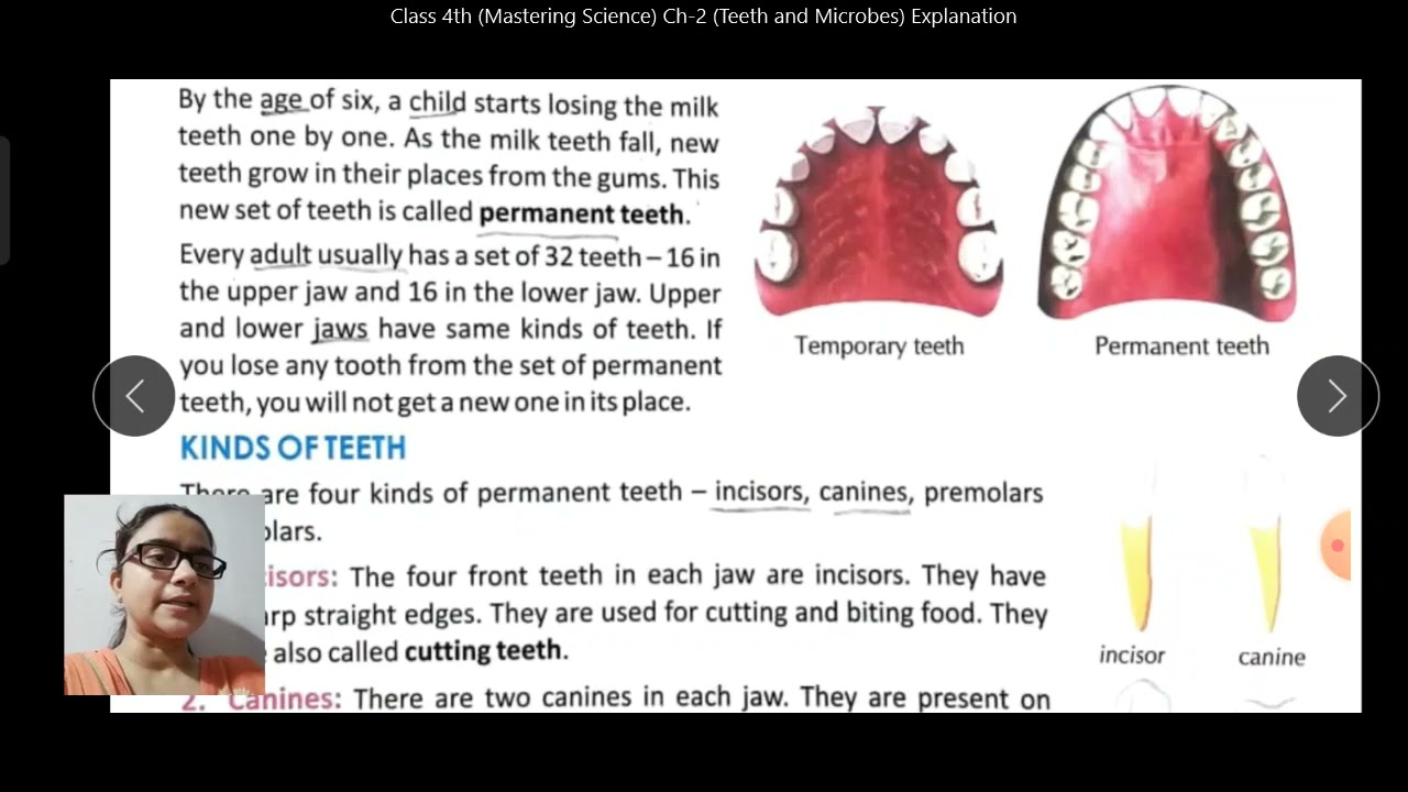 Class 4th (Mastering Science) Ch-2 (Teeth and Microbes) Explanation