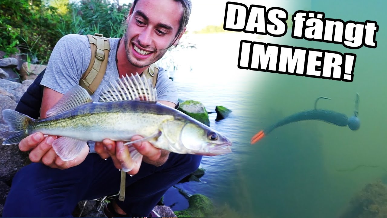 Das Fängt IMMER! Die EINFACHSTE Spinnfischen Montage