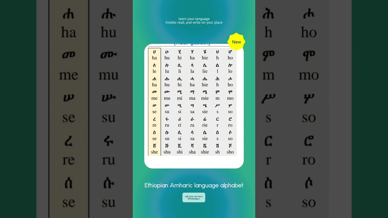 #amharic #maths #alphabet #አማርኛ #education #habesha #learnamharic #amazing #english #ethiopianzena