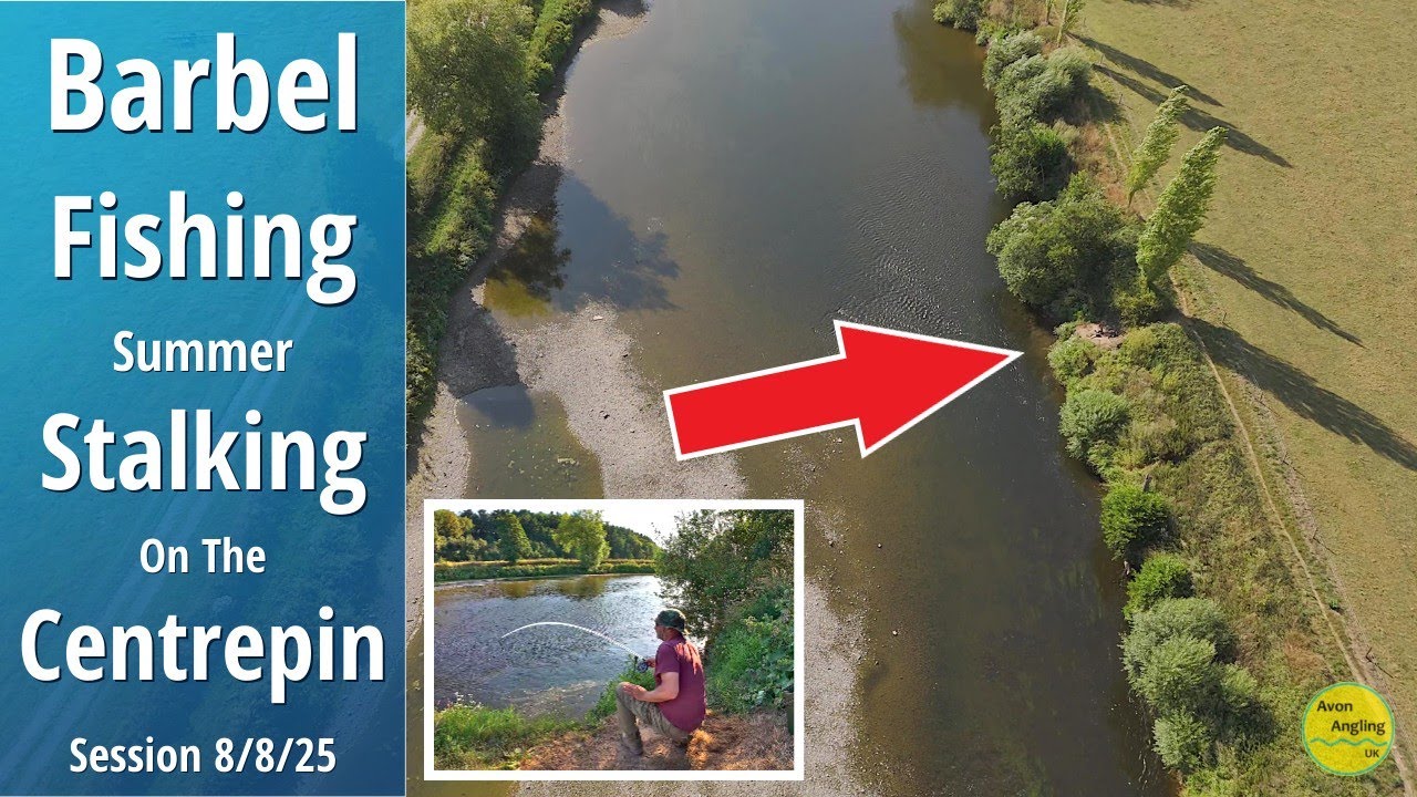 Day Ticket BARBEL FISHING UP CLOSE - EXCITING Sight Fishing On The CENTREPIN - 8/8/25 (Vid 594)