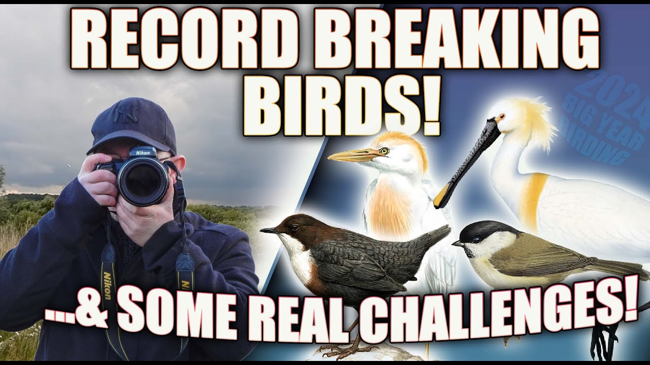 RECORD BREAKING BIRDS & SOME BIG BIRDING CHALLENGES!