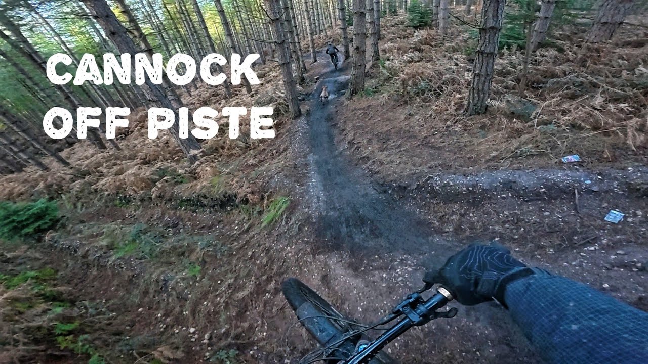Riding Blind on Cannock off piste | MTB