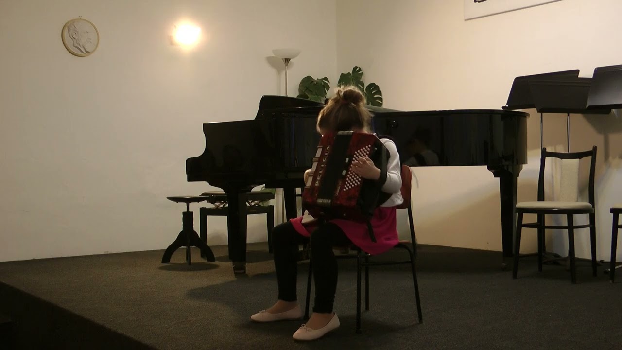 Žákovský koncert žáků 16.2.2026
