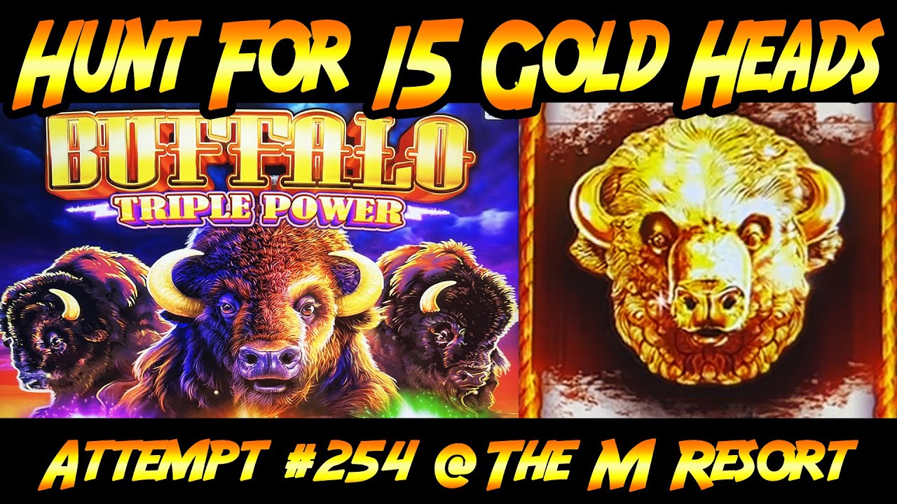 Hunt For 15 Gold Heads! Ep. #254, Buffalo Triple Power from the M Resort in Las Vegas!