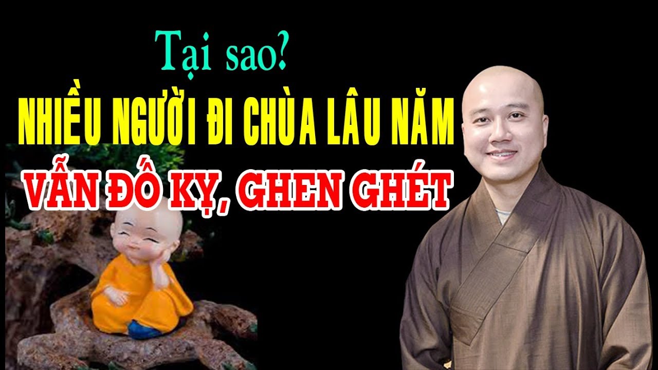 Vấn đáp cực hài, cực hay | Tại sao nhiều người đi chùa lâu vẫn ganh ghét, đố kỵ | Thầy Pháp Hòa