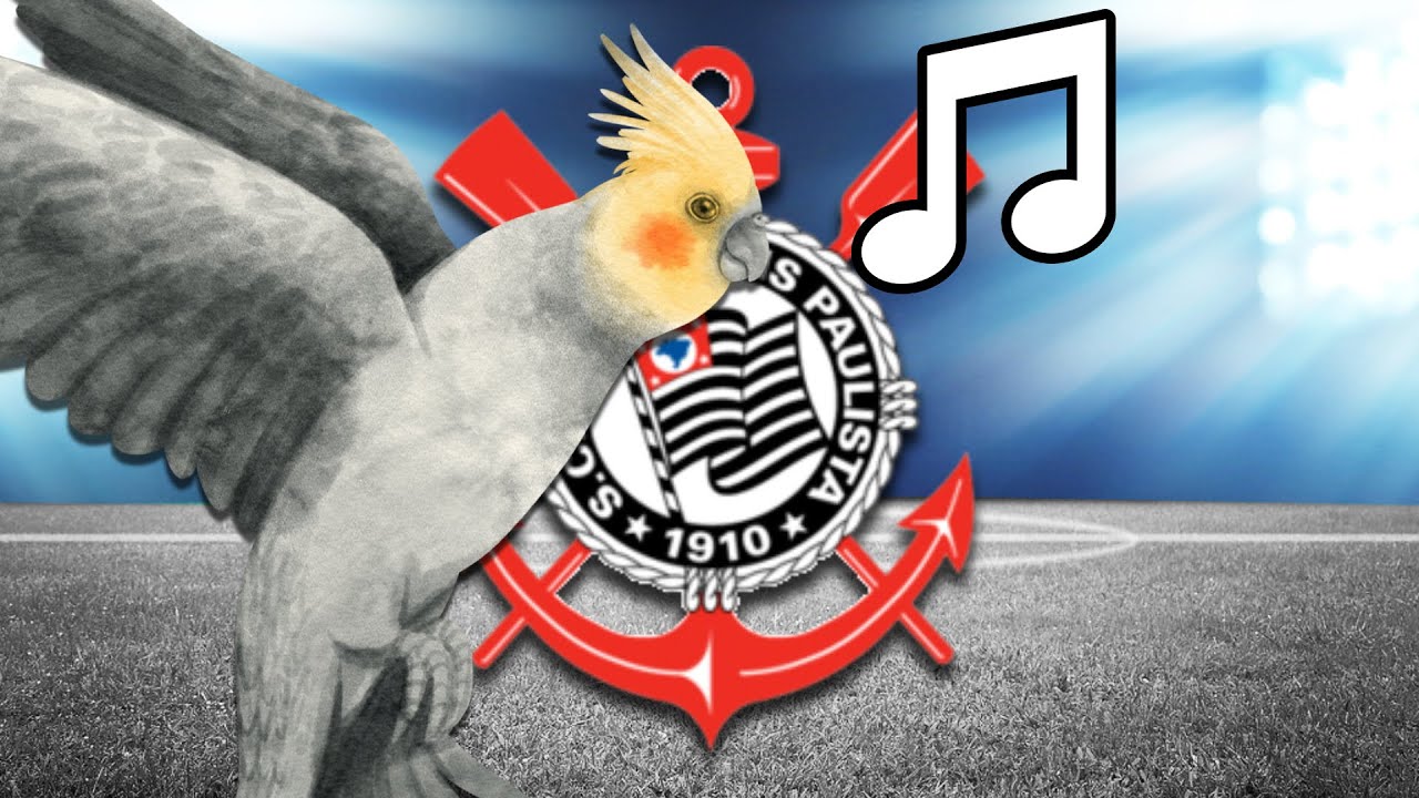 HINO DO CORINTHIANS   Assobio Para Ensinar Calopsita Cantar