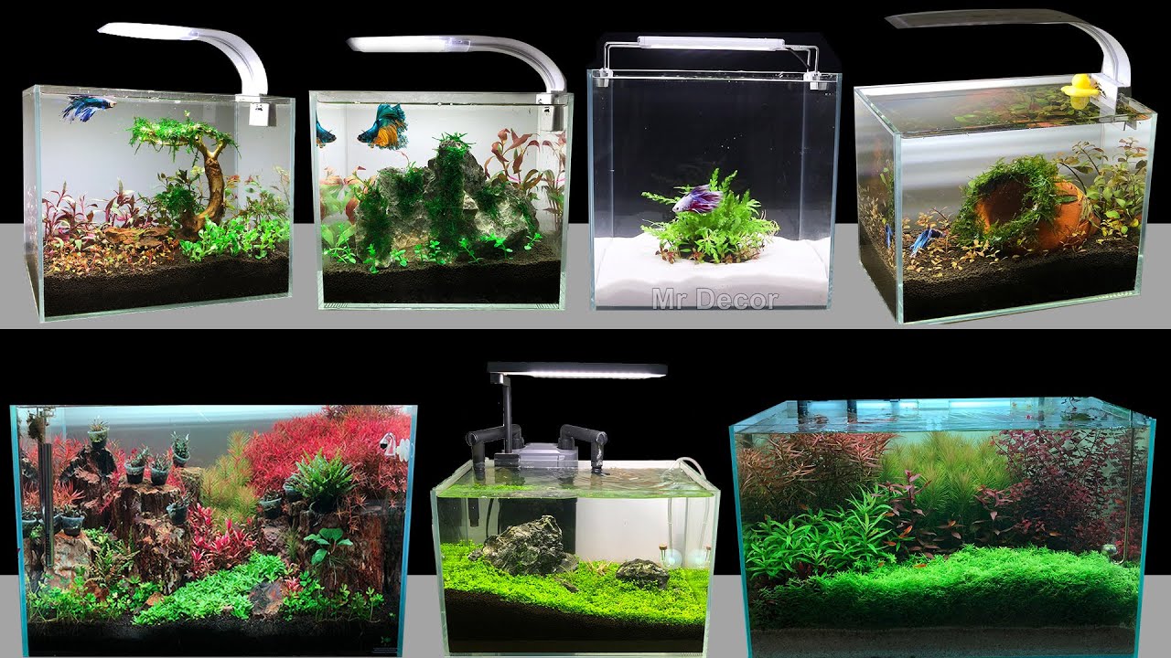 Top 7 How To Make Mini Planted Aquarium Fish Tank At Home - DIY Aquascape Decoration Ideas 