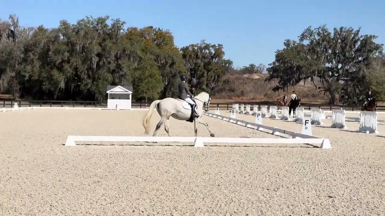 Fursten Liebling first level test 2 