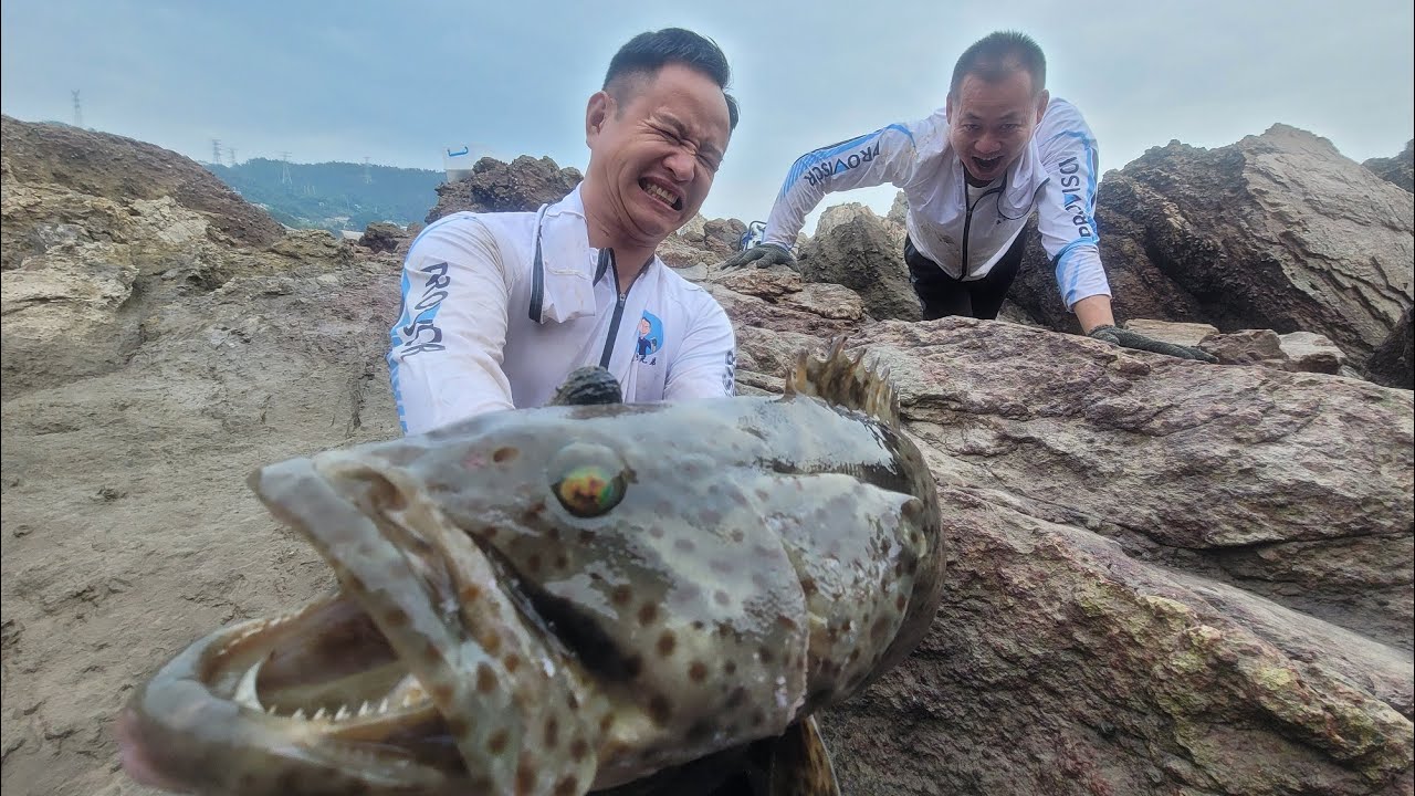 外岛发现宝藏水坑，退潮后成群大石斑被困，溅起两米水花看呆大伙