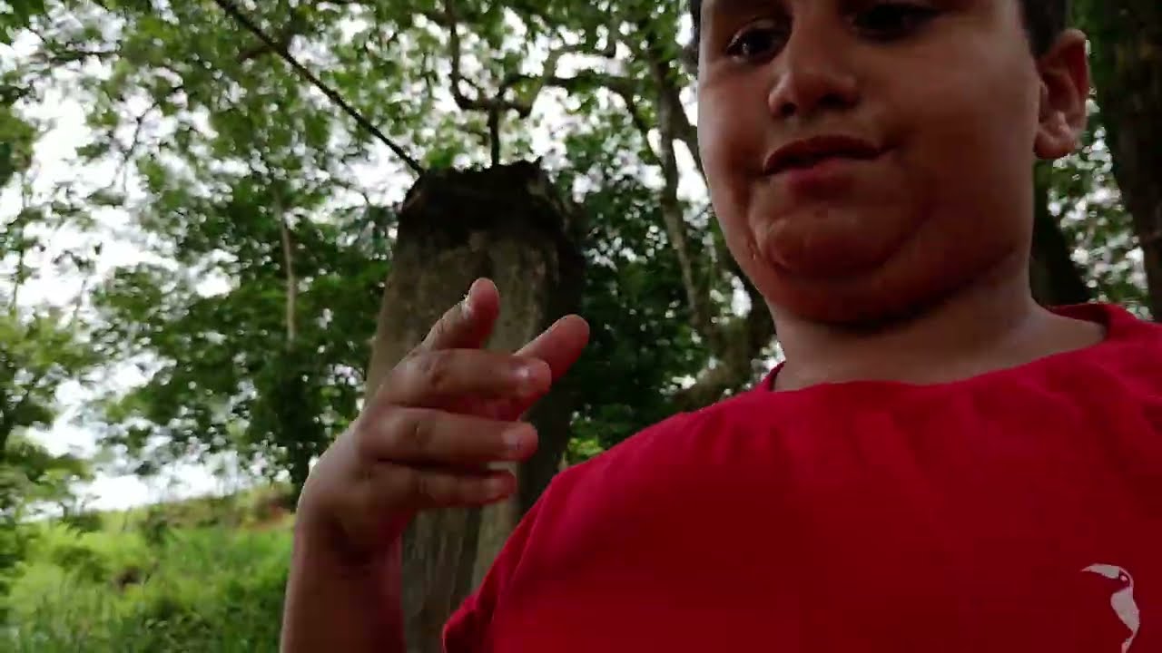 5 de fevereiro de 2026