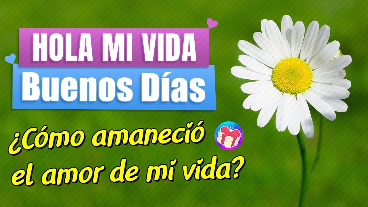 Hola mi Vida Buenos Días. Te amo con pasión y ternura 💌