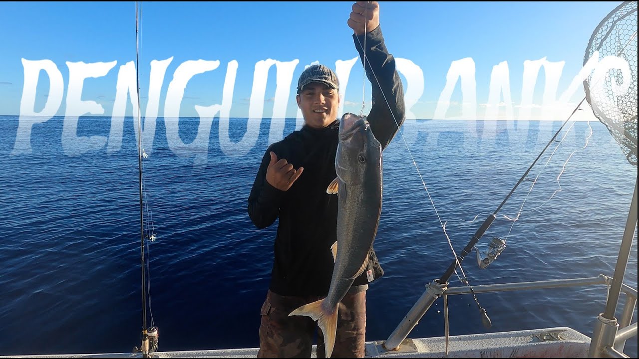 Fishing for Uku/Green job fish In Hawaii
