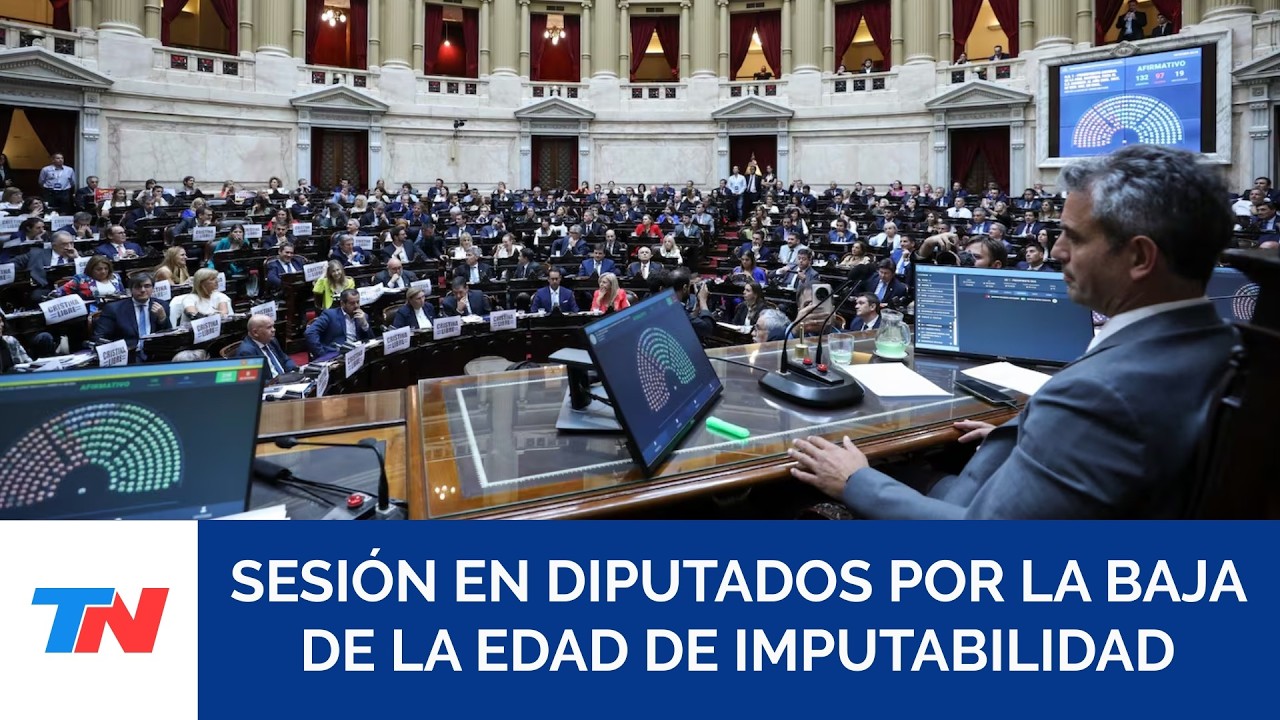 Diputados: el oficialismo busca darle media sanci&oacute;n a la baja de la edad de imputabilidad