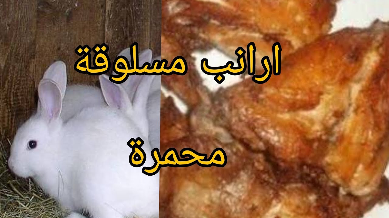 طريقه عمل الارانب المسلوقه ومحمرة  بطريقه بسيطه وسهله