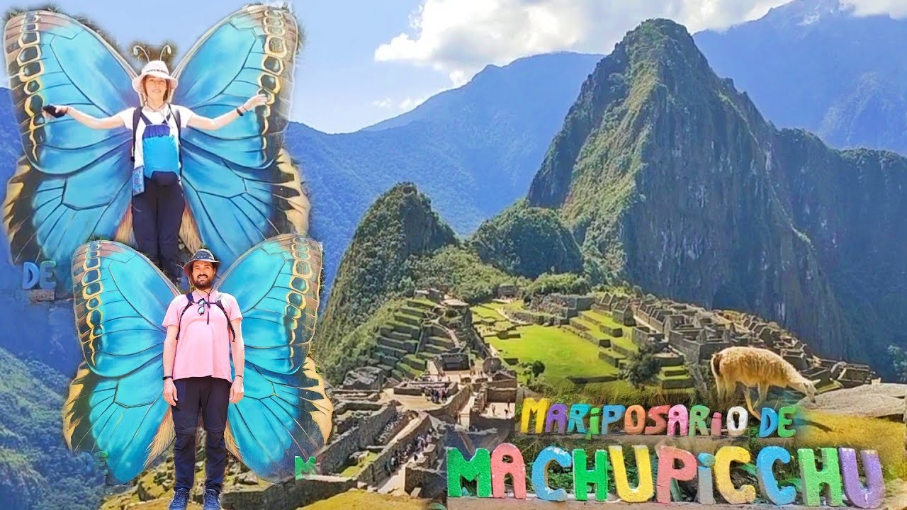 🇵🇪🦋 Mariposones de Machupicchu.