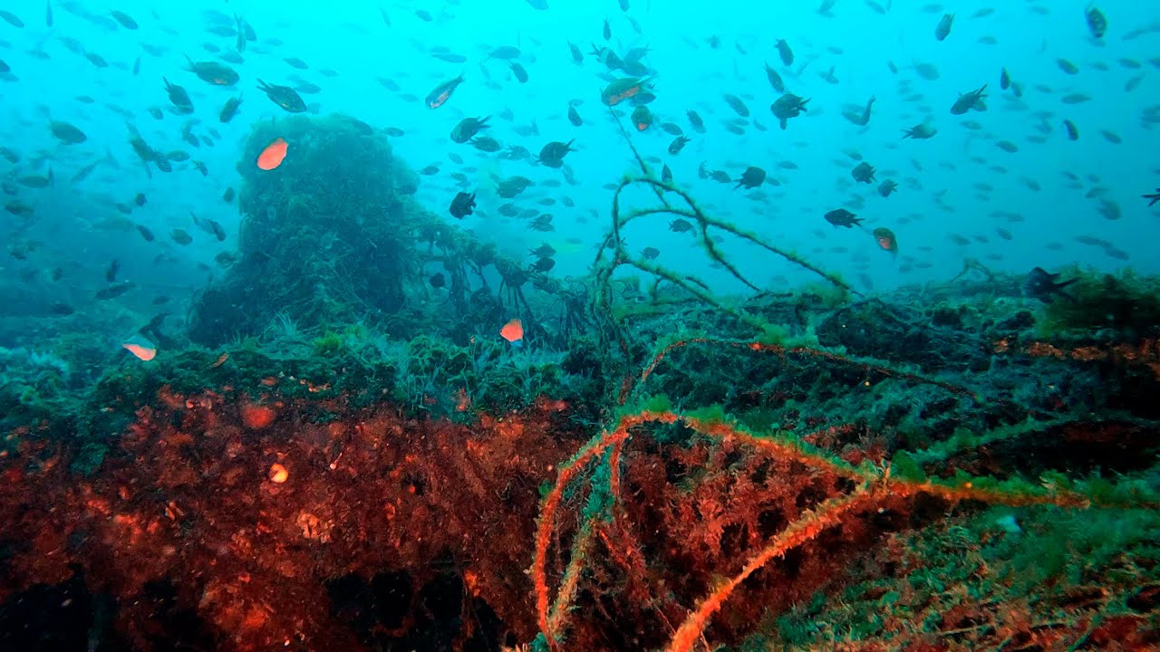 Inmersión de buceo 