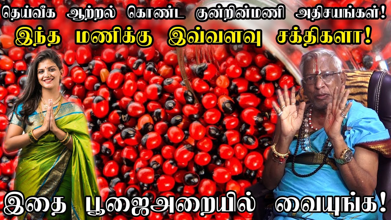 சகல ஐஸ்வர்யங்களை அள்ளித்தரும்  குன்றின்மணி அதிசயங்கள் | Chirmi Beads - Kundrinmani Benefits in tamil