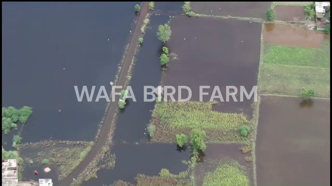 Madina Syedan floodings 2nd Sept 2025