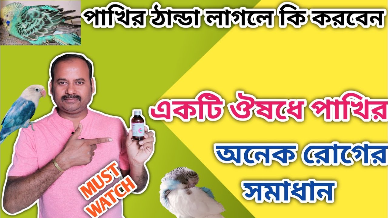 পাখির ঠান্ডা লাগার প্রতিকার/Treatment Of Cold For Birds/পাখির ঠান্ডা লাগলে করণীয়/@tanay birds.