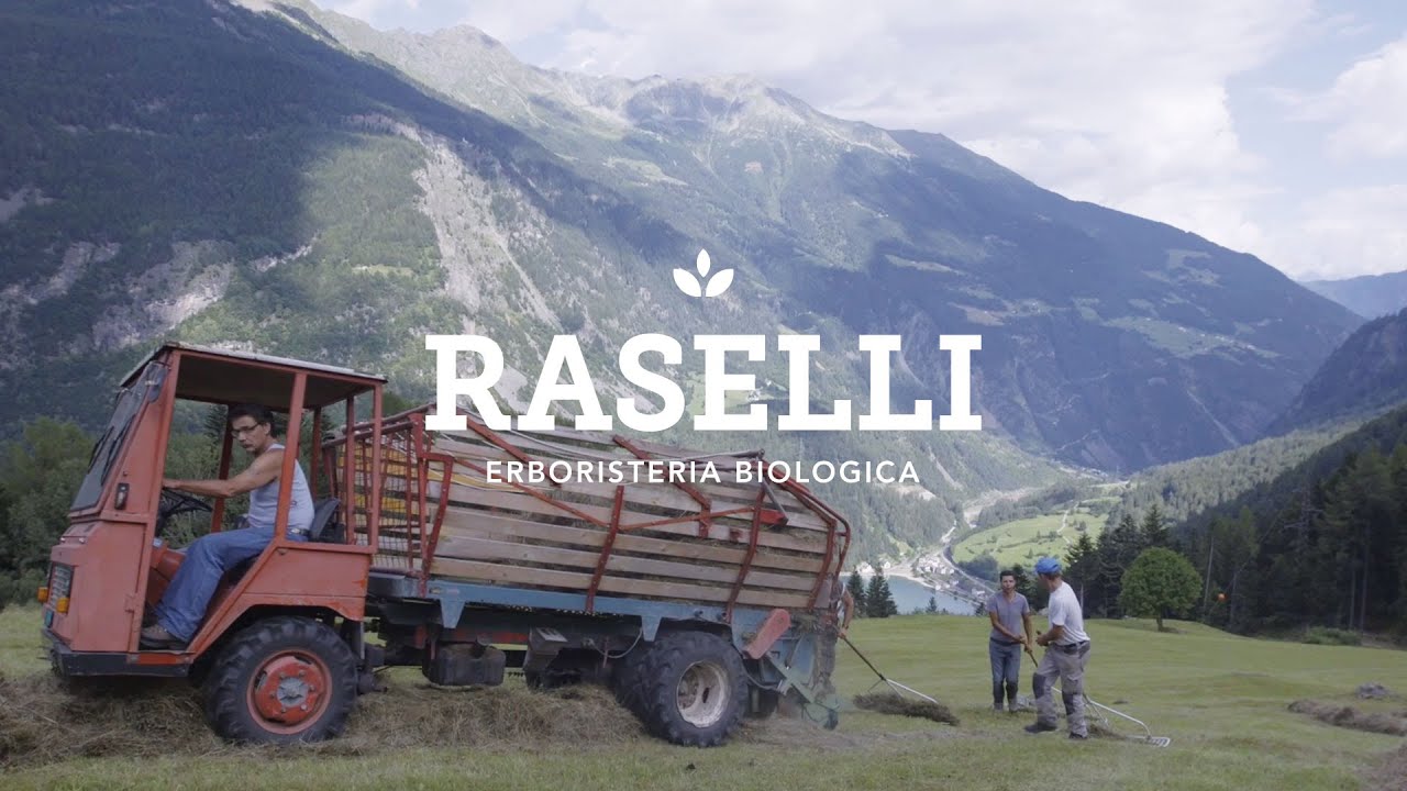 Raselli &ndash; Das Puschlav zwischen Tradition und Moderne (DE)