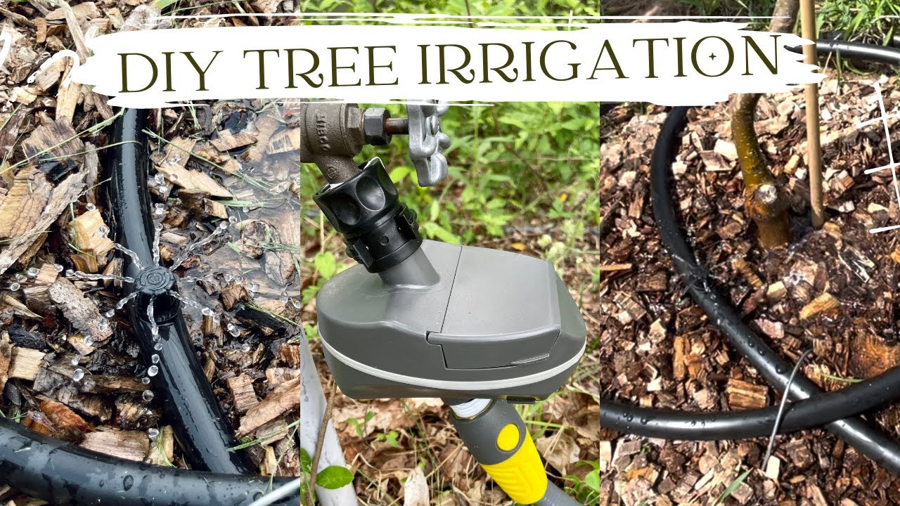 Drip Irrigation System for our Apple Orchard DIY