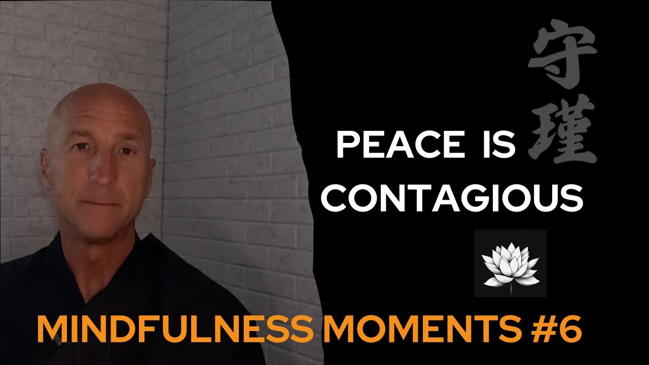 Mindfulness Moments #6 Peace Is Contagious: Embracing Peace with Thich Nhat Hanh's Teachings