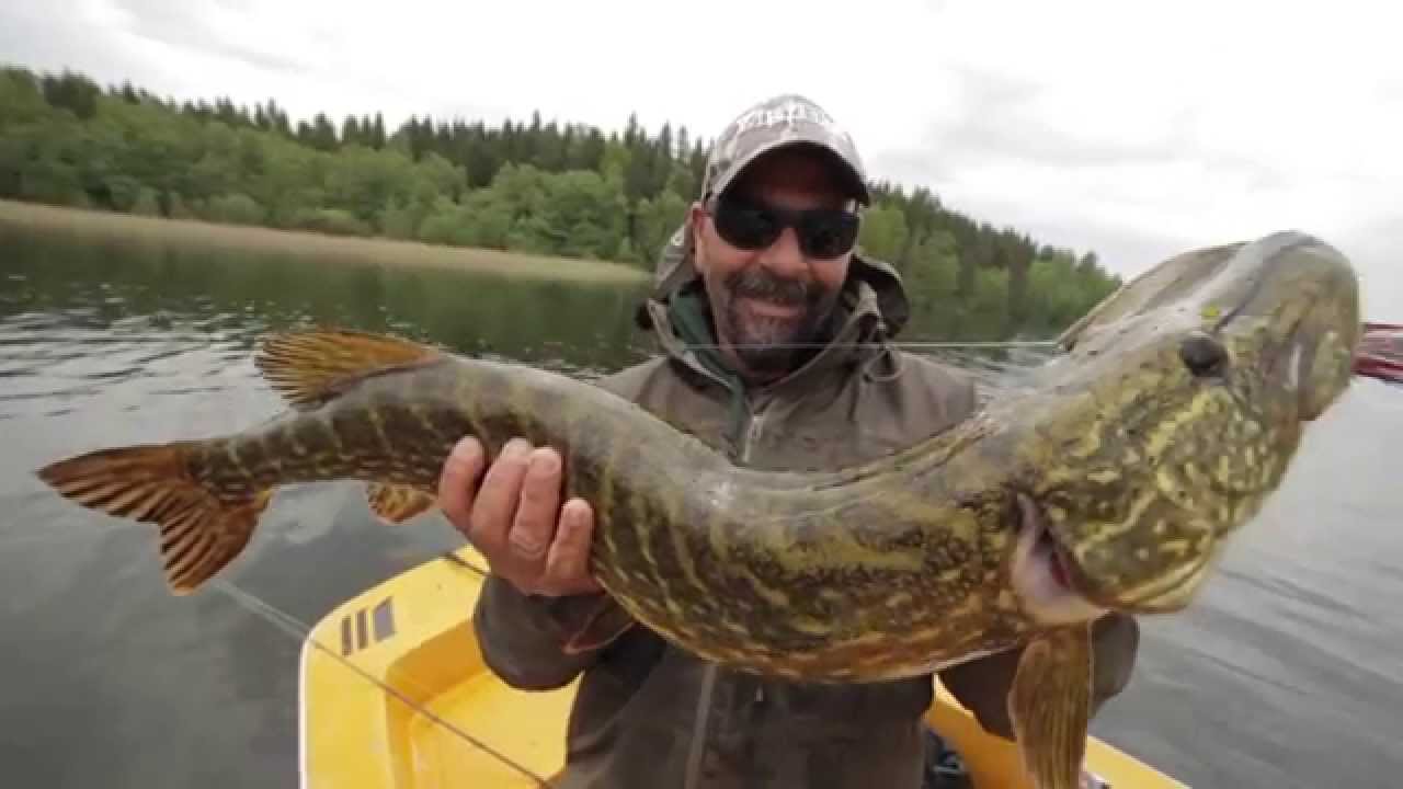 Italian Fishing TV - Old Captain - La Sfida - Puntata 3