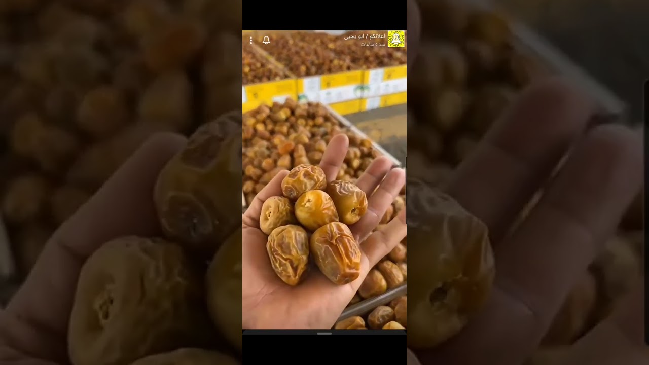 تغطية كرنفال تمور بريدة | إعلانكم 1445/2/7