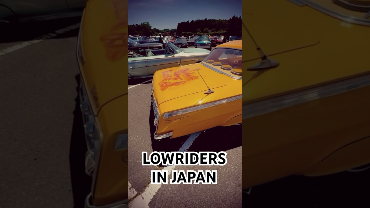 Lowriders🔥 #lowrider #classic #carmodification #oldschool #automobile #oldies #westcoast #impala