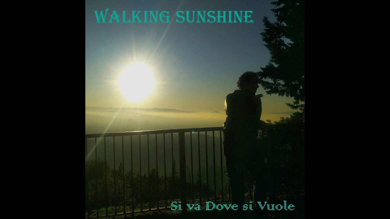 Si va Dove si Vuole - Antonello Torchia