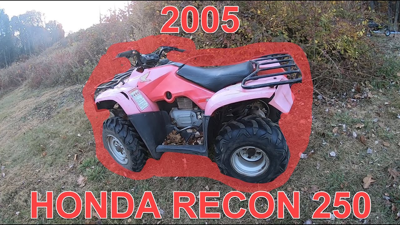 Тестирование абсолютно разбитого Honda Recon 250 2005 года выпуска
