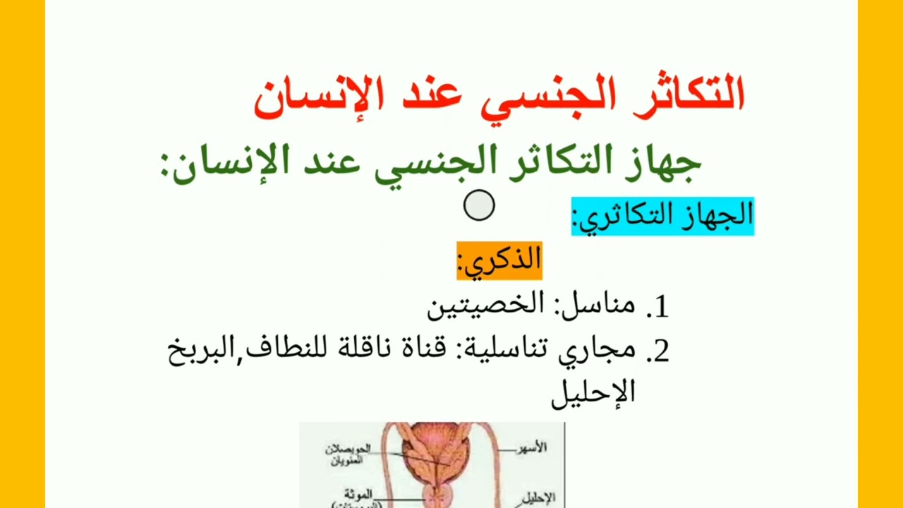 مراجعة شاملة للفصل الثالث علوم طبيعية سنة أولى متوسط.