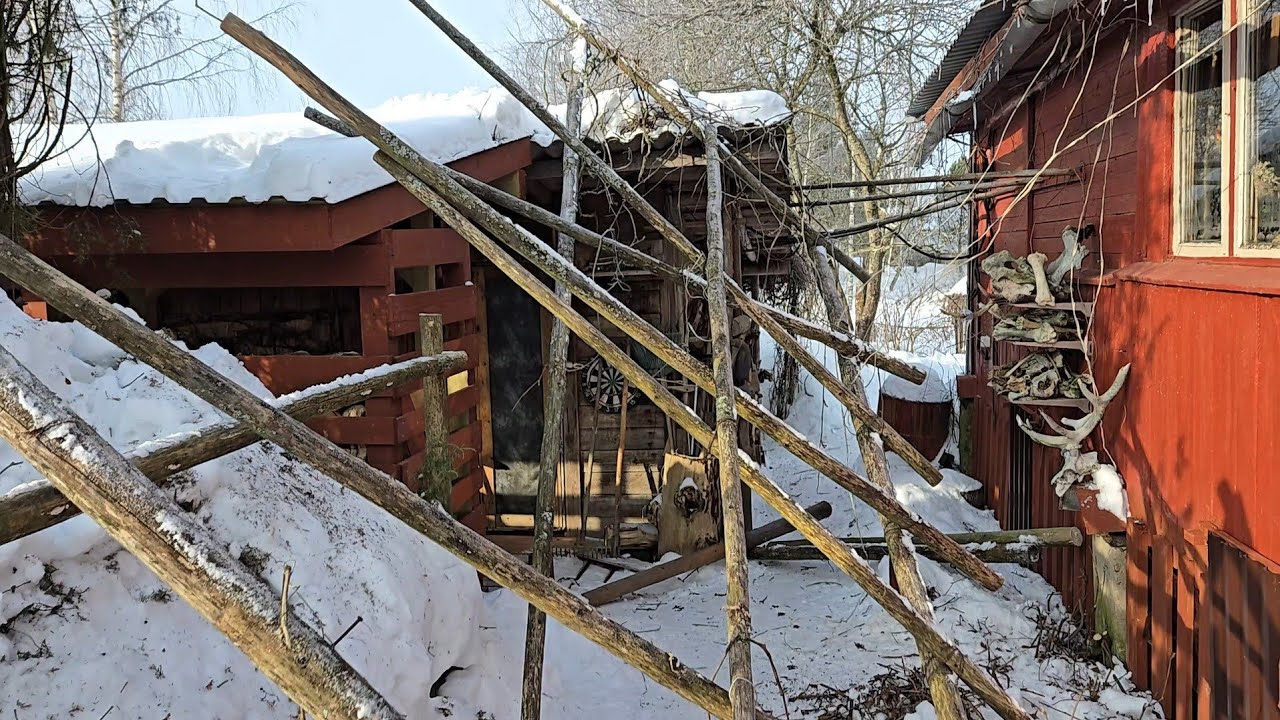 Демонтаж у Избушки, ушастые подружки и новая ваза