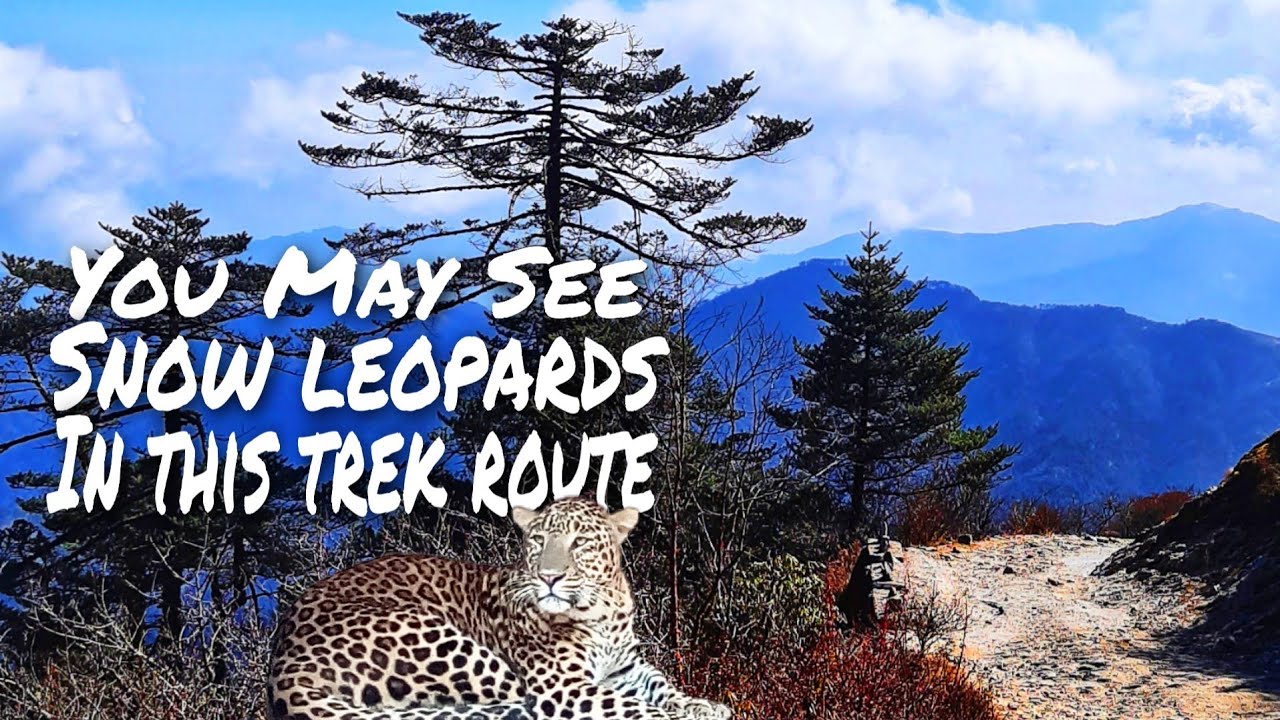 You May See Snow leopards in This Jungle | Our 17kms Downhill Journey Through this National Park