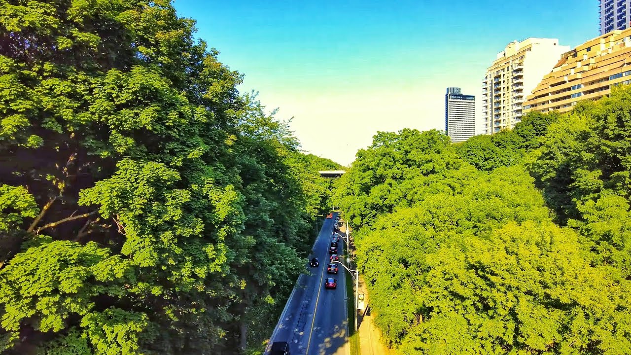 Toronto Walk - Rosedale