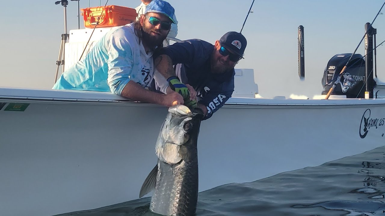 Tarpon fishing Tampa Bay