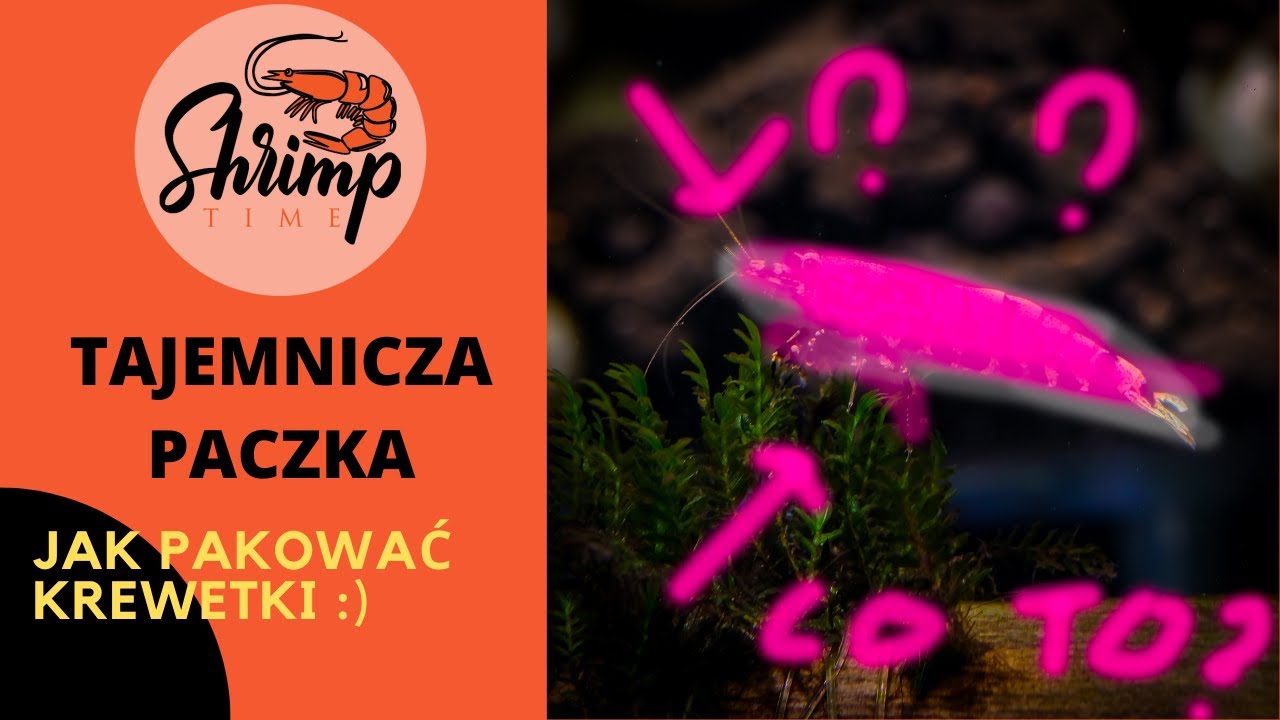 Unboxing paczki z krewetkami akwariowymi - Krewetki Akwariowe