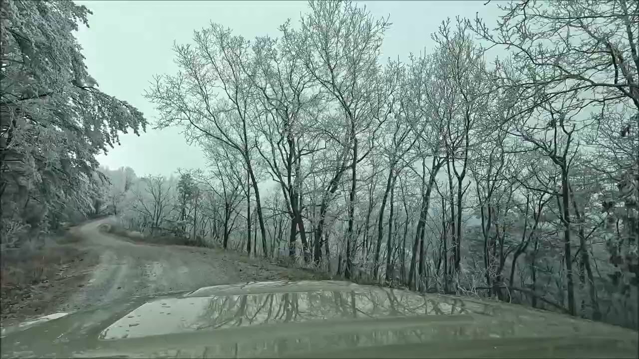 Fort McClellan Long Leaf Frozen Cruise