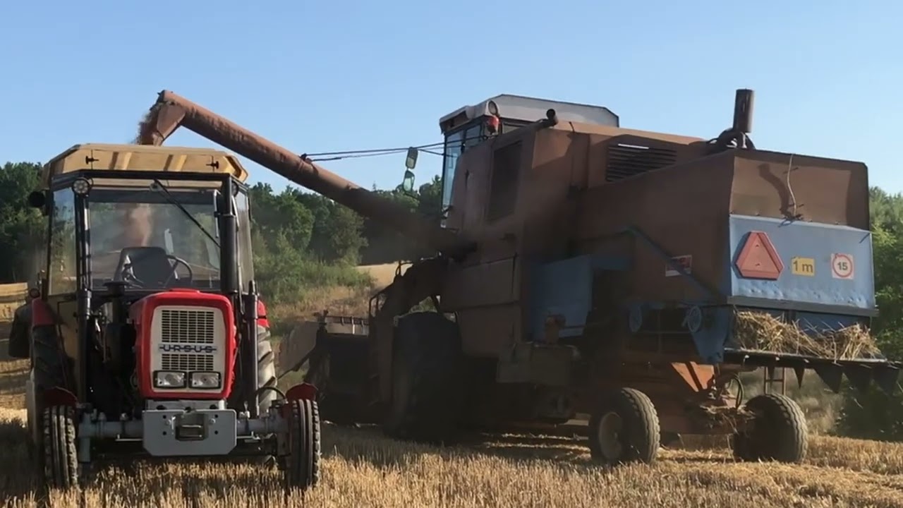 Bizon Z056 Super 8Ton/ha Pszenica Euforia 4K - (Engine Sound)