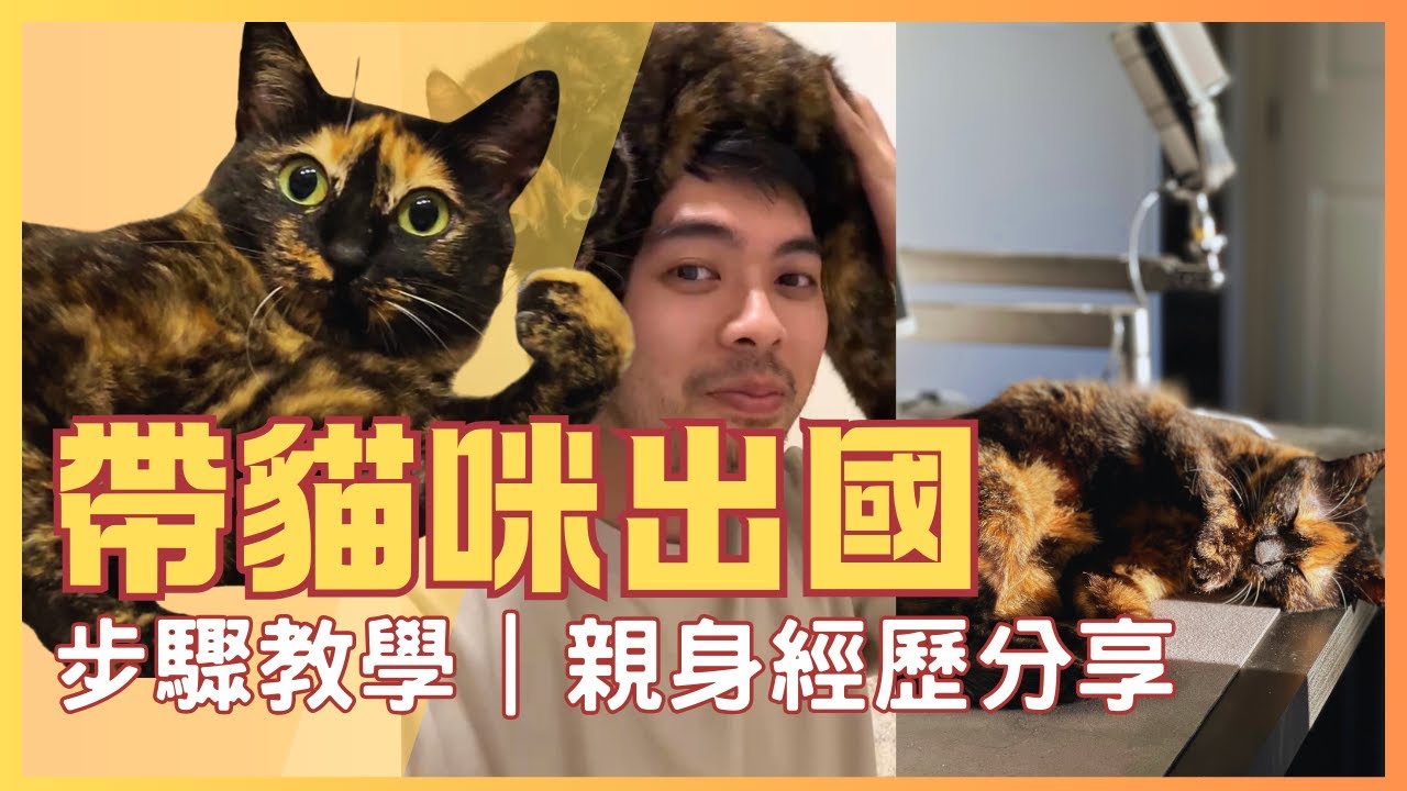 如何帶貓去美國｜帶寵物出國好簡單｜Kevin and Jay