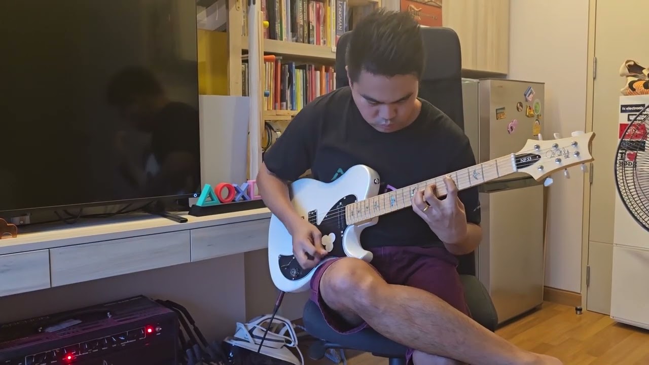 PRS SE NF 53 - high gain