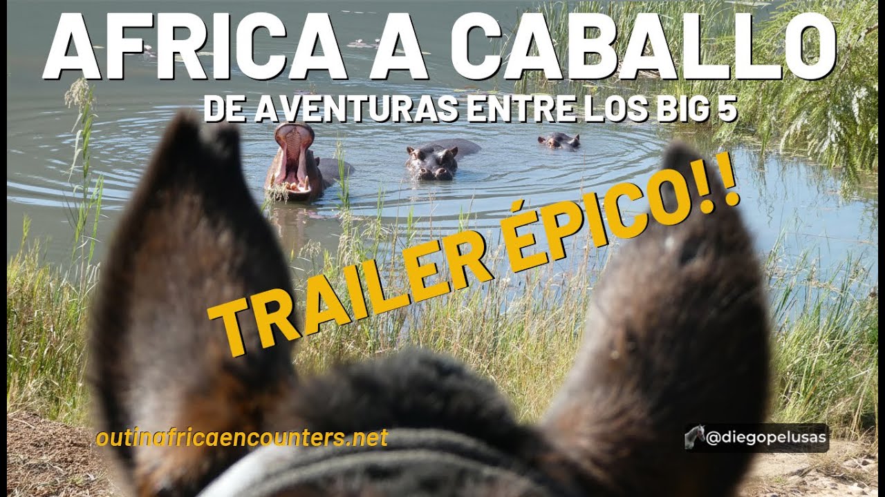 🎬 TRAILER | A CABALLO ENTRE LOS BIG FIVE | Safari a caballo en Sud&aacute;frica 🐘🐎
